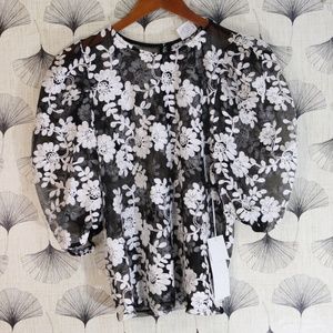 Wicked Majesty Sheer Embroidered Top